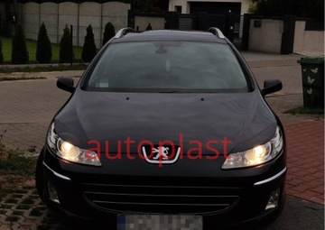 Колпачки фонарей Peugeot 407, АБС-пластик