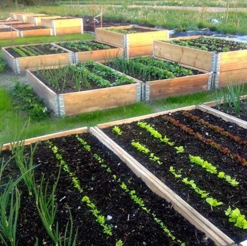 ЯЩИК ДЛЯ ОВОЩЕЙ ДЕРЕВЯННЫЙ ТРАВНИК 80х120х20см ВЫСОКИЙ ОСМОТР