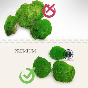 Mech Poduszkowy - Średniozielony Naturalny PREMIUM - 2KG SZWECJA