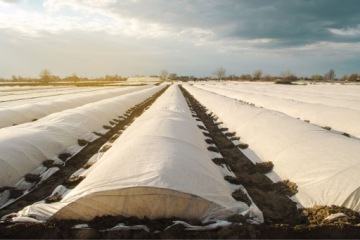 Agrotextile 0,8x100 м белая зимняя зимняя ткани Польша Польша Польша