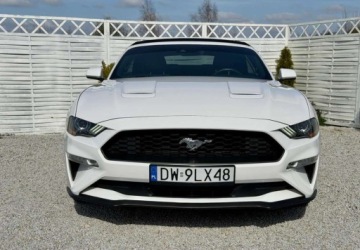 Ford Mustang VI 2021 Ford Mustang Ford Mustang Cabrio 2.3 Eco Boost 2.3 Benzyna 317KM, zdjęcie 21