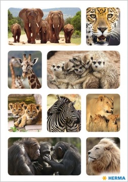 HERMA NAKLEJKI MOTYWACYJNE ZWIERZĘTA AFRYKAŃSKIE SAFARI ZOO
