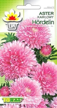 Aster karłowy 'Hordelin' 1 g
