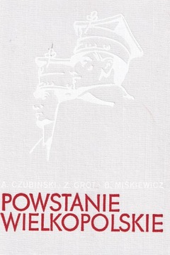 POWSTANIE WIELKOPOLSKIE 1918-19 zarys dziejów
