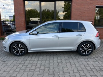 Volkswagen Golf VII Hatchback 3d 1.6 TDI-CR DPF 105KM 2013 Volkswagen Golf 1.6 diesel 105 KM zarej w PL ksiazka serwis zadbany z, zdjęcie 19