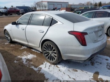 Cadillac 2020 Cadillac CT5 Premium Luxury 2020 3.0 Benzyna 335KM, zdjęcie 4