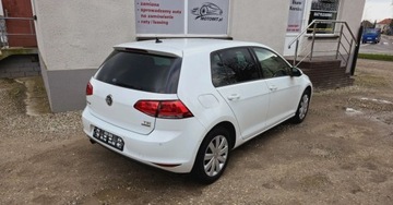 Volkswagen Golf VII Hatchback 3d 1.2 TSI 105KM 2013 Volkswagen Golf 1,2 benzyna 105 KM NAVI klimat..., zdjęcie 11