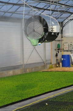 Увлажнитель воздуха для теплиц, испарительный