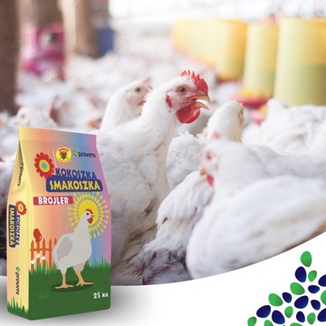 Brojler 2 Grower Provimii 25kg