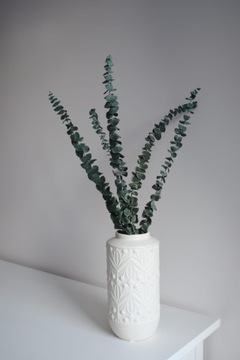 Stabilizowany EUKALIPTUS baby blue 5 gałązek