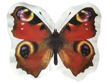 PODUSZKA KSZTAŁTKA MOTYL RUSAŁKA PAWIK