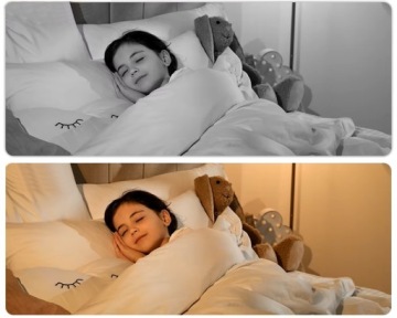 Электронная няня для батарей роторной камеры 3MPX на SIM GSM 4G LTE