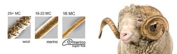 Лыжные носки LASTING SWI906 Merino S (34-37)