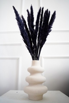 ПАМПАСНАЯ ТРАВА, ГРАФИТ ЧЕРНЫЙ, SLIM FOR SLIM ВАЗА, БУКЕТ 15 ШТУК ПАМПАСЫ