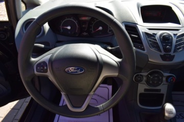 Ford Fiesta VII 2009 Ford Fiesta 1,25 Benzyna, 5-drzwi, Sprowadzony, Klimatyzacja, bdb stan, Ro, zdjęcie 22