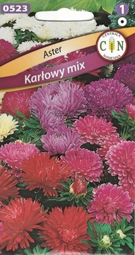 ASTER KARŁOWY mix koloru od lata do jesieni kwiaty