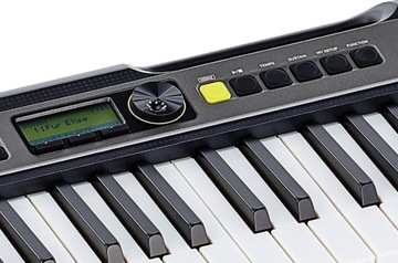 CASIO LK-S250 Светящиеся клавиши + подставка + ремень
