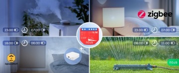 Zigbee2mqtt Module Switch входная передача Домашний помощник Noous