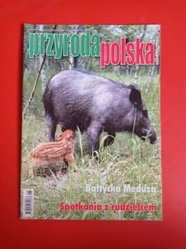 Przyroda polska nr 6/2003, czerwiec 2003