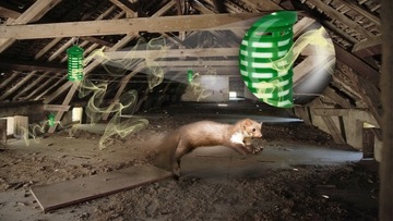 ЖИДКИЙ ОТПУСКАТЕЛЬ МУЖЧИН, ГРЫЗУНОВ, ЗАЩИТА КАБЕЛЕЙ В АВТОМОБИЛЕ BROS CAR