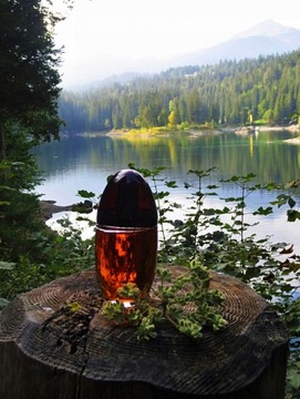 Calvin Klein Obsession 100 мл парфюмированная вода для женщин EDP