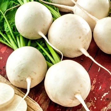 Rzepa jadalna Snowball CZYSTE ODMIANOWO NASIONA