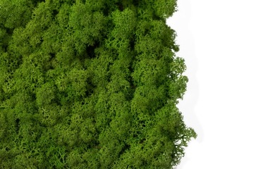 ПРЕМИУМ Оливки Moss Reindeer 500гр