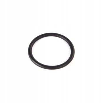 USZCZELKA ORING N10139201 VAG do VW GOLF V 3.2 R32