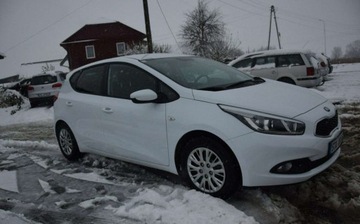 Kia Ceed II Hatchback 5d Facelifting 1.4 DOHC 100KM 2015 Kia Ceed 1.4B 2015r Kamera 2 Kpl Kol Grzane Fotele i Kierownica Sprowadzony, zdjęcie 7