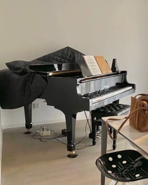 ПОДВИЖНОЕ ПИАНИНО БОЛЬШИЕ КОЛЕСА МОЩНОСТИ ВЕРТИКАЛЬНЫЕ КОЛЕСА