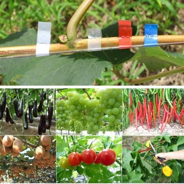 ИНСТРУМЕНТ ДЛЯ САДОВЫХ СТЕПЛЕННЫХ РАСТЕНИЙ