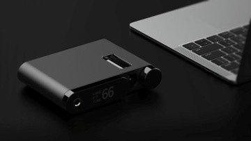 aune Flamingo czarny