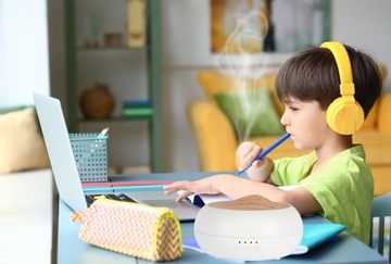 Лидер среди фирменных эко-масляных диффузоров AROMA ZEN.