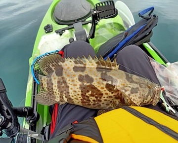 Whiskey 11 Fishing Kayak Лодка с пешеходным приводом