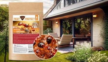 ФАРАОНОВЫЕ МУРАВЬИ-ВРЕДИТЕЛИ ЗАЩИТА ПОРОШКОМ БОРЬБА СО ВСЕМИ ГНЕЗДАМИ