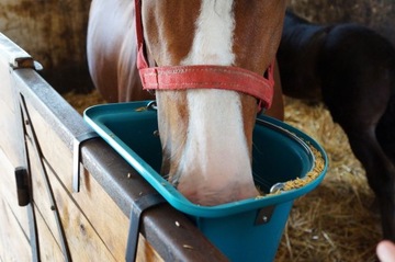 Кормушка с ручкой и стропой, 12 л, бирюзовый