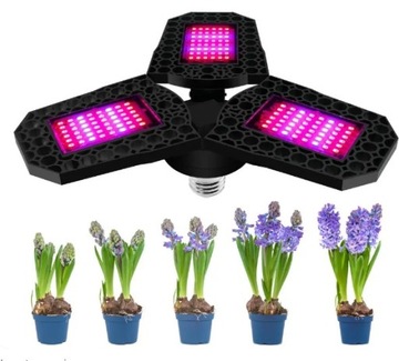 Lampa GROW LED 3 ramienna do uprawy roślin Żarówka