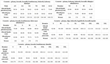 Футболка Cornette Authentic 213 р.л.