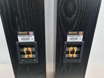 Tannoy Revolution R2 – kolumny głośnikowe stereo