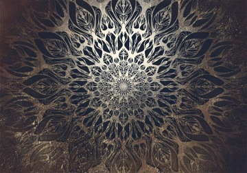 FOTOTAPETA ORIENTALNA MANDALA 350x256 f-A-0659-a-b
