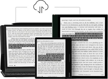 Электронная книга ONYX BOOX Page Black