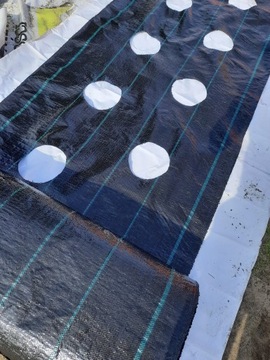 Ткань Агрот, большие ОТВЕРСТИЯ, 20 см, для рассады 1,1х50.