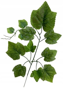 LIŚĆ SZTUCZNY WINOGRON WINOROŚL GAŁĄZKA DEKORACYJNA OZDOBNA