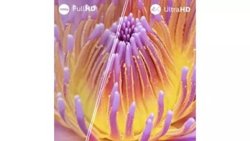 Philips 4K LED телевизор Pixel Precise Dolby Atmos, DTS:X 55