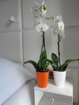 12 Крышка для цветочного горшка ORCHID Square ORANGE 13