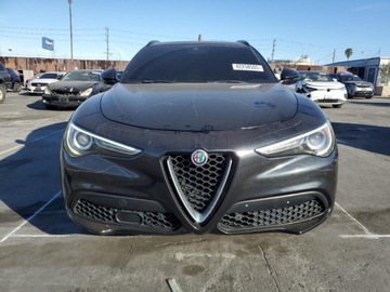 Alfa Romeo Stelvio SUV 2.0 Turbo 280KM 2018 Alfa Romeo Stelvio TI Sport 2018 2.0l 2.0 Benzyna 280KM, zdjęcie 5