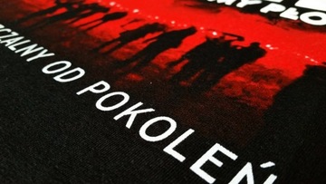 Футболка FAN сборной ПОЛЬШИ на матч ЕВРО