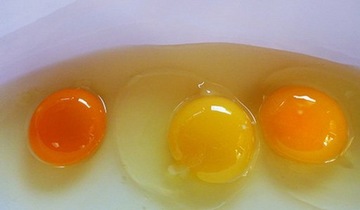 Słońce w jaju 2kg MPU ProZdrowo Purina Witaminy dla kur piękne żółtka