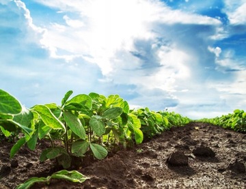 БИОГУМУС Гумус Садовая земля для цветов от дождевых червей Вермикомпост 50л