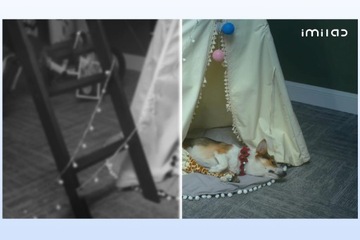 WI-FI IP КАМЕРА 360° домашний мониторинг Imilab C21